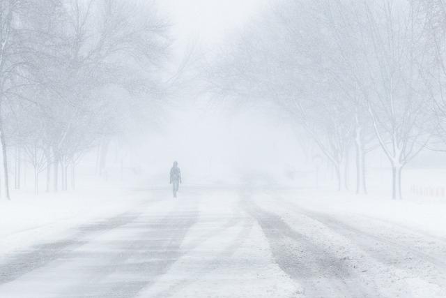 Impact of Blizzard on Education in Jinan