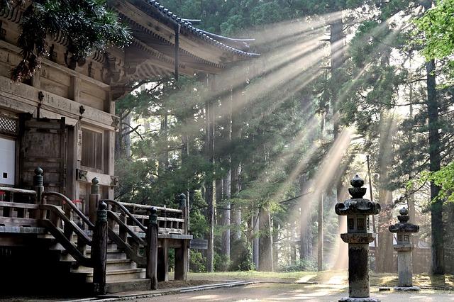 Nature's Secrets: Exploring Untouched Landscapes and Scenic Trails