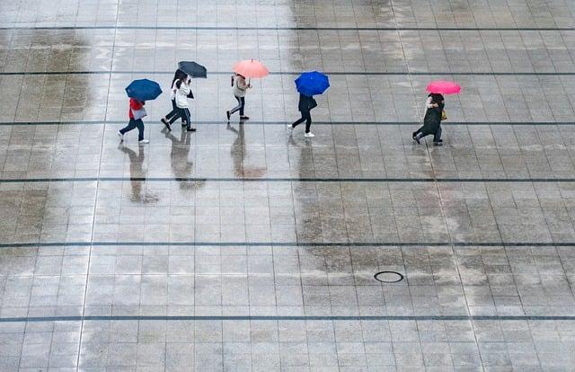 Impact of Torrential Rain on chongqing's infrastructure and Economy