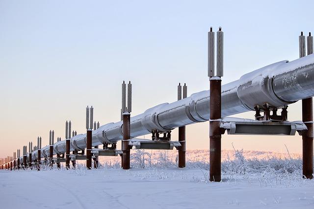 The Role of International Partnerships in the Success of the gas Pipeline Project