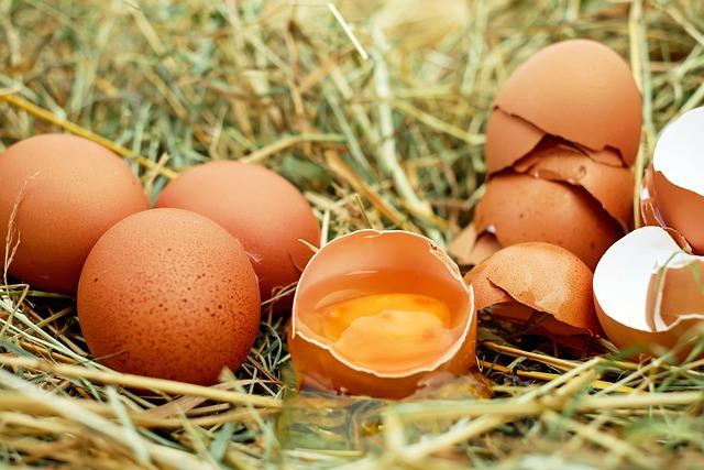 Effects of Poultry Egg Consumption on nutritional Health in Kunming Residents