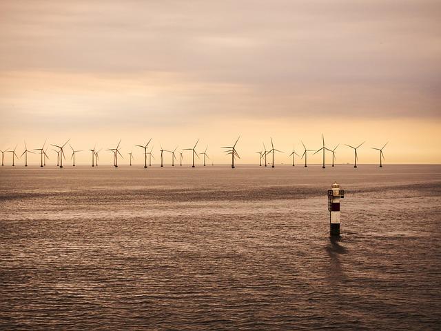 Expert Recommendations for Maximizing Benefits from Offshore Wind Auctions