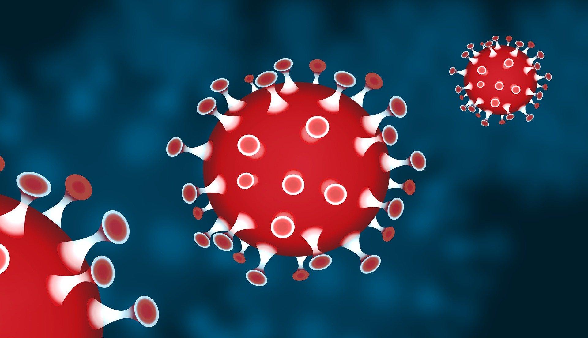 Analyzing Disruptions in Healthcare Access and Their Role in TB Diagnosis