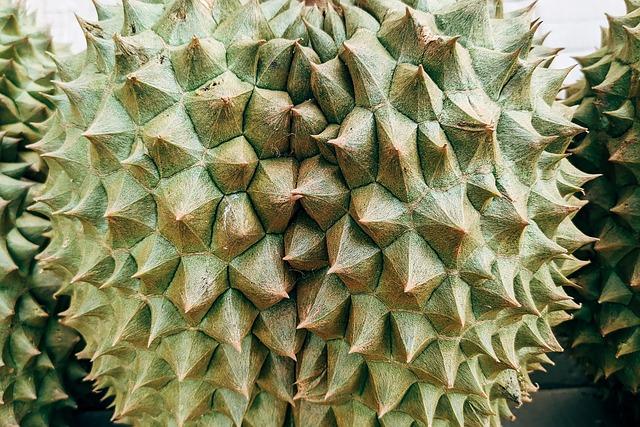 Recommendations for Durian Newbies: Tips for⁢ Enjoying This ‍Unique ⁤Fruit