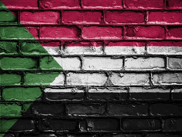 International Reactions and Implications for Sudan's Future