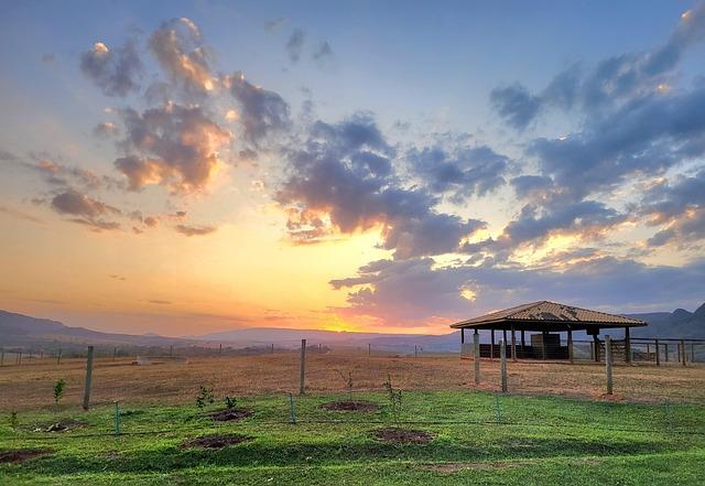 Culinary Delights: A Taste of minas Gerais tradition