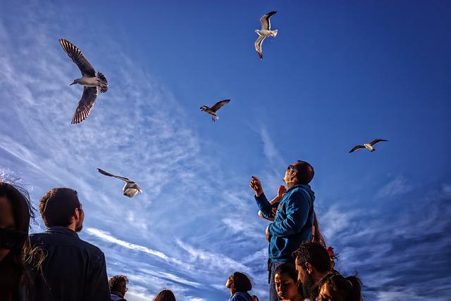 foreign tourists‍ enjoy cultural experiences in NW ⁤China’s Xi’an -‍ People's Daily