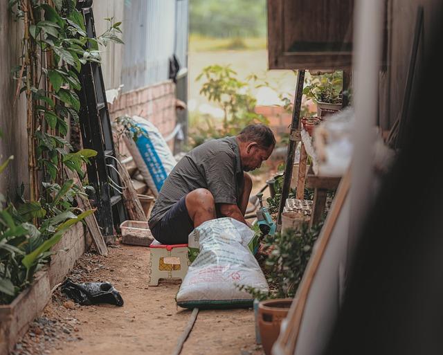 Father's Desperate Measure: Children Kneeling on Busy Road to Reunite Family