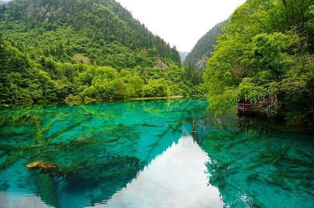 Passenger Experience on the Inaugural Chengdu to Pokhara Flight