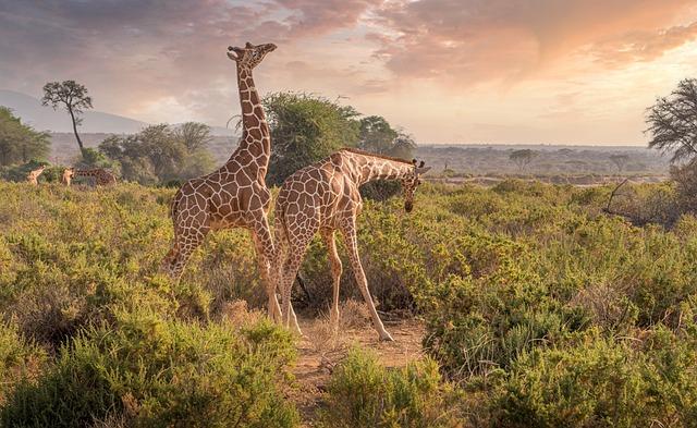 Cultural Immersion: Connecting with Nature and Community