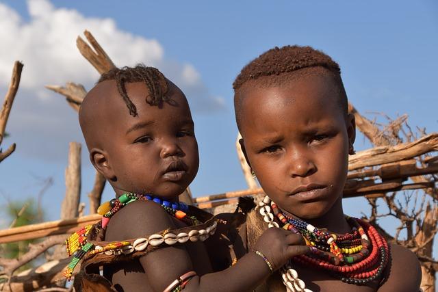 The Role of International Donors in ethiopia's Development Strategy