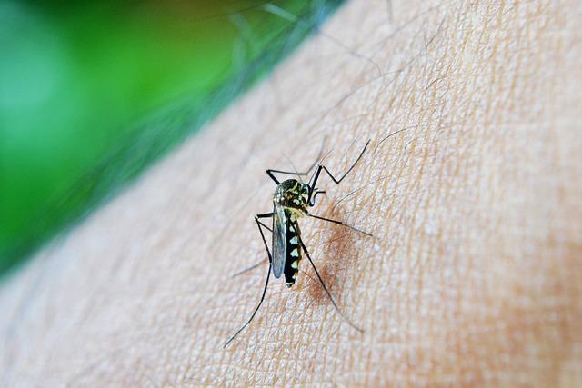 Impacts of‌ Climate and⁣ Geography on⁣ Dengue Transmission Patterns