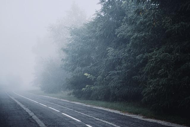 Recommendations for Drivers to navigate Foggy Conditions Safely