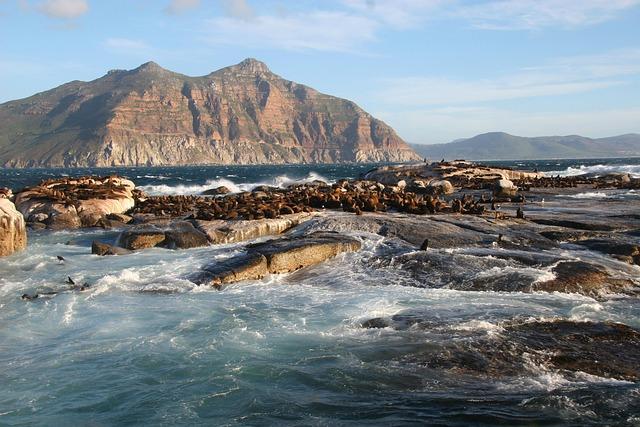 South Africa, Europe strengthen bonds after trump sidelines both - The Africa Report