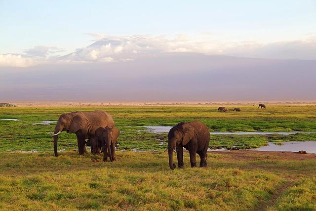 Essential Gear and Preparation for Hiking in Kenya