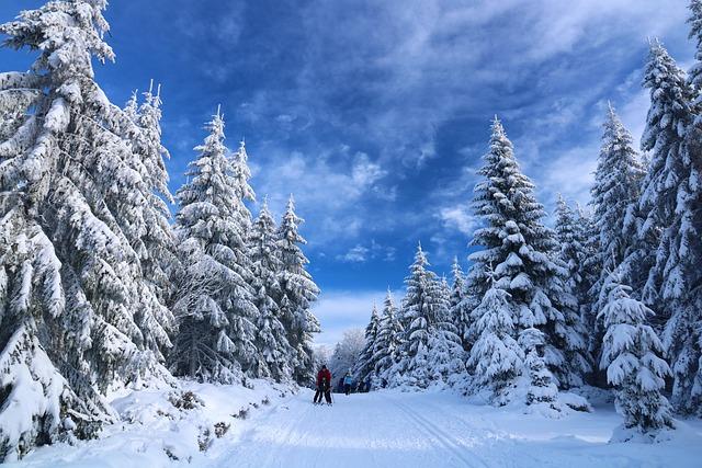 Cultural Exchange at the Heart of Changchun's Skiing Festival Experience