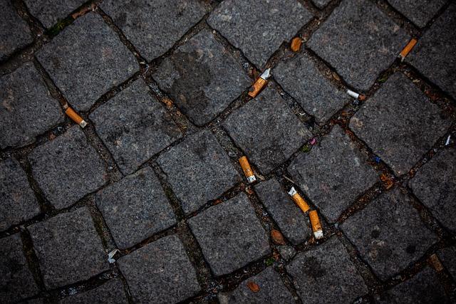 Analysis of Pollution Indexes Related to Cigarette ​Butt Waste Management