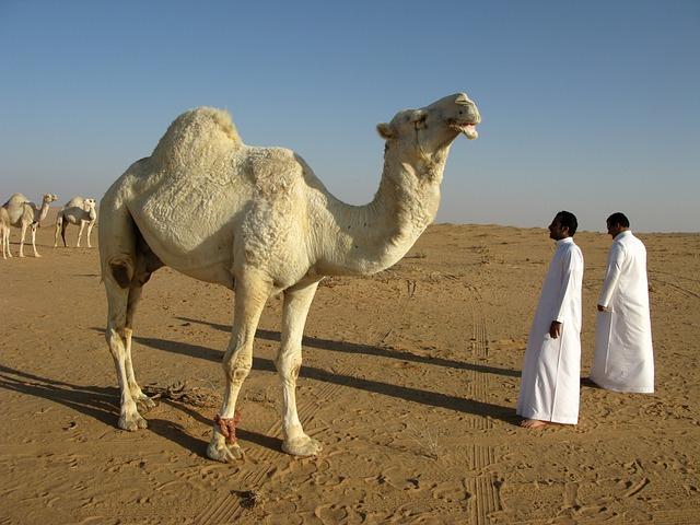 The Launch of Saudi Arabia's New Airline and Its Impact ​on National Tourism