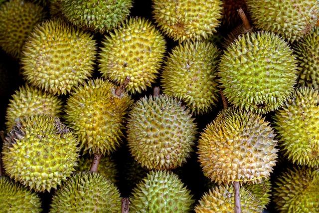 Supply Chain Insights:⁣ How Fresh Durian is ⁢transported from Malaysia to ⁢China