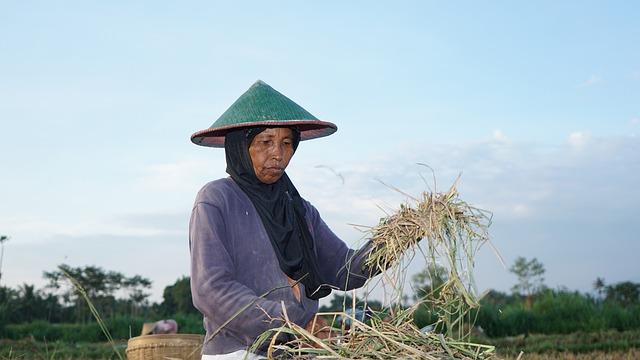 Understanding the Context of the Scam Centres in Myanmar