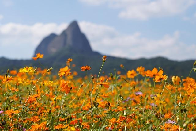 Uncovering Hidden Gems: Local Attractions Off the beaten Path