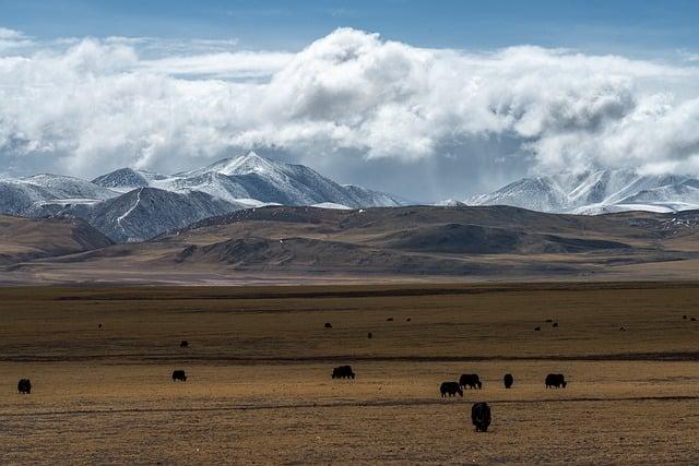 The 8th China-Eurasia Expo commences in NW China’s Xinjiang – Xinhua