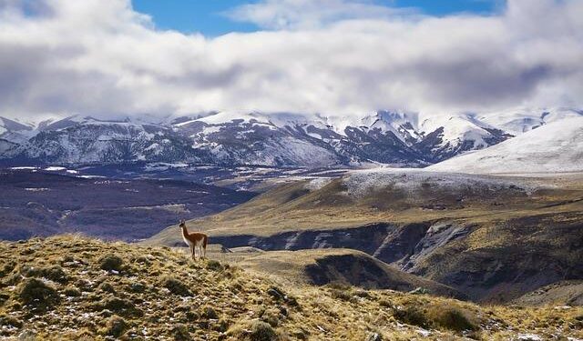 These Are the 8 Largest Cities In South America – TheTravel