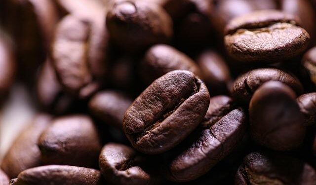Kunming’s cafe percolates a difference – China Daily