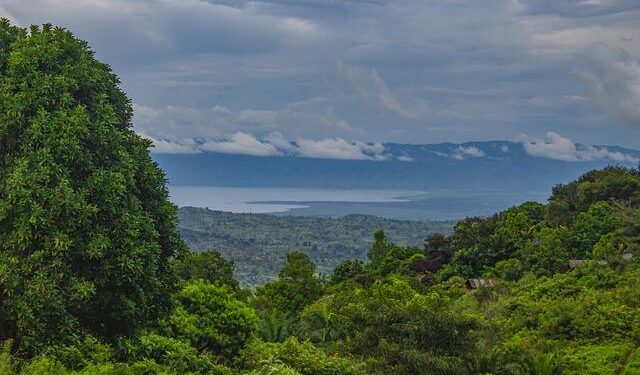 What to Know About Mystery Illnesses Killing Dozens in Congo – TIME