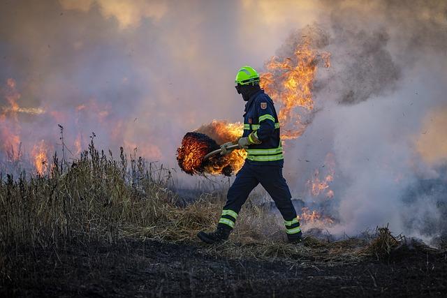 Expert Insights on Preventing Wildfires and Protecting Air Quality