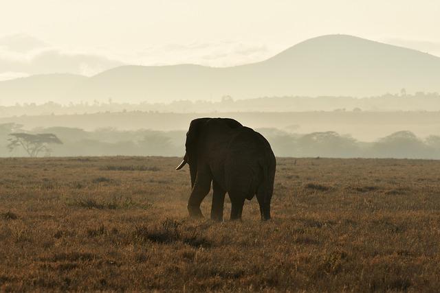 Exploring Kenya's Natural Wonders through Local Hiking Clubs