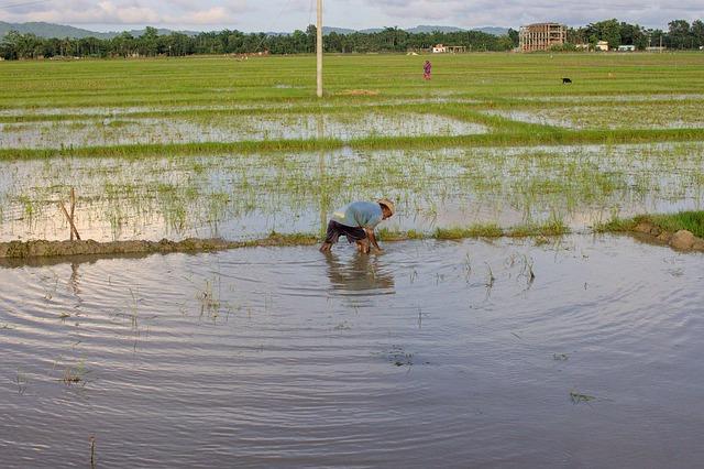 Long-term Solutions: Sustainable Aid Strategies for Rohingya Population