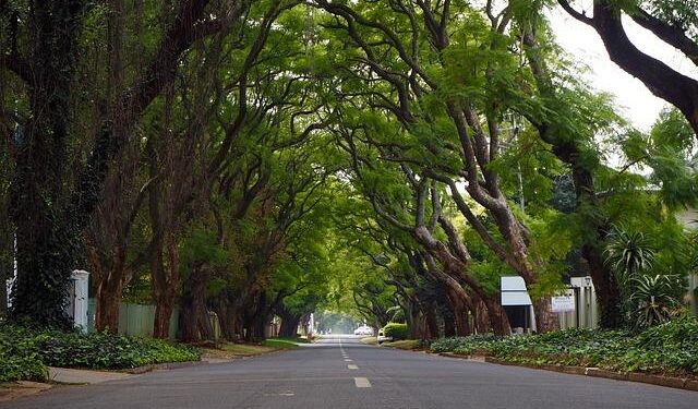 More name changes planned for Johannesburg – Jacaranda FM