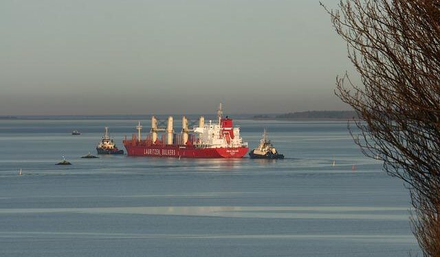 Dongguan Haichang expands fleet with sixth bulker buy of this year – TradeWinds