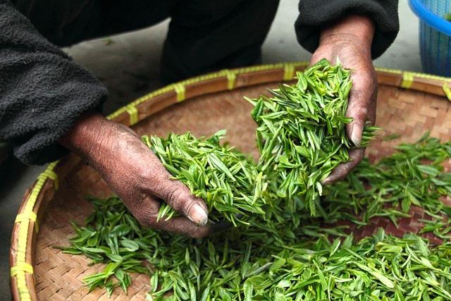 Chennai Airport Introduces Affordable Tea Option for Travelers