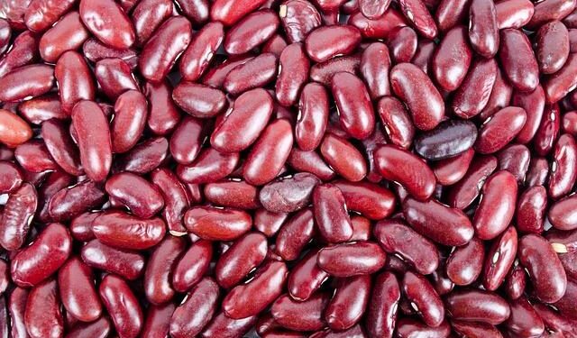 China Carries Out Asia’s First Cross-Species Kidney Transplant – Bloomberg