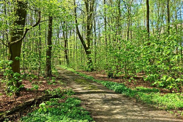 Comparative Analysis of Species Diversity Between Urban and rural Areas