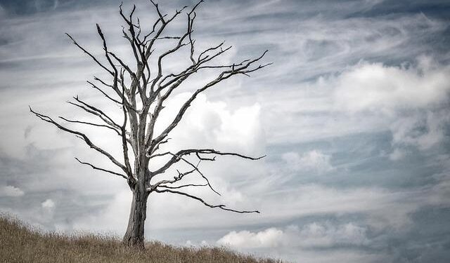 Christian found dead after kidnapping in central Nigeria – Christian Daily