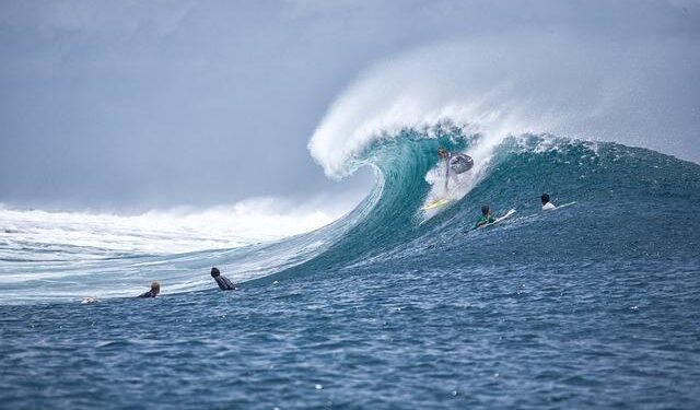 Police say surfer ‘taken by shark’ in Western Australia – Al Jazeera English