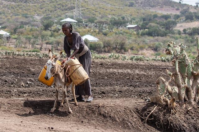 Implications of enhanced Franco-Ethiopian Relations