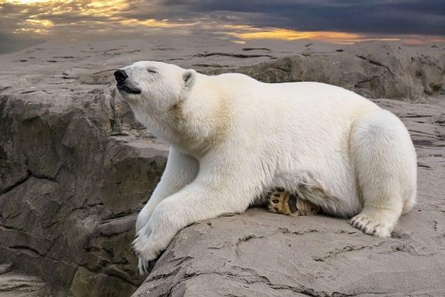 Fantawild Enhances Family Entertainment with Boonie Bears Bay Launch