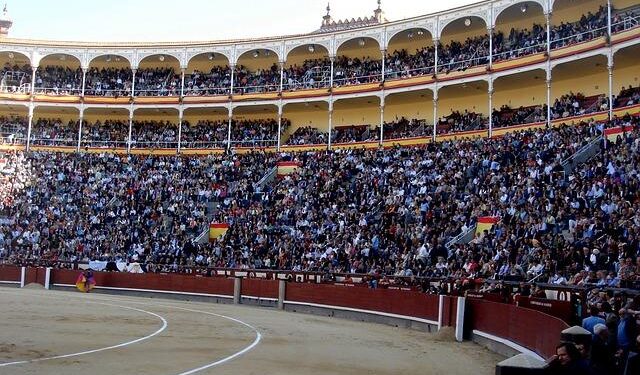 Mexico City Rebrands Bullfighting With Ban on Killing Bulls – Bloomberg