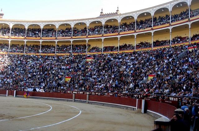 Mexico City Rebrands Bullfighting With Ban on Killing Bulls – Bloomberg