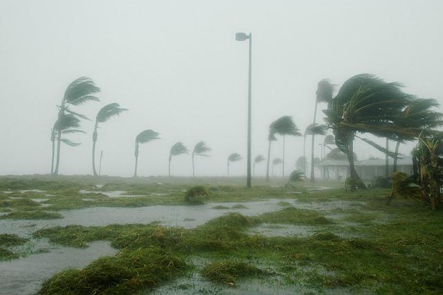 Widespread flooding, 180 000 without power as severe storm hits São Paulo, Brazil – The Watchers