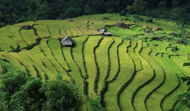 How Will the New Hyderabad-Vietnam Direct Flights, Operating Twice Weekly, Boost Travel and Trade Between India and Vietnam? – Travel And Tour World