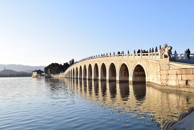 Kunming enters best season to observe black-headed gulls – Global Times