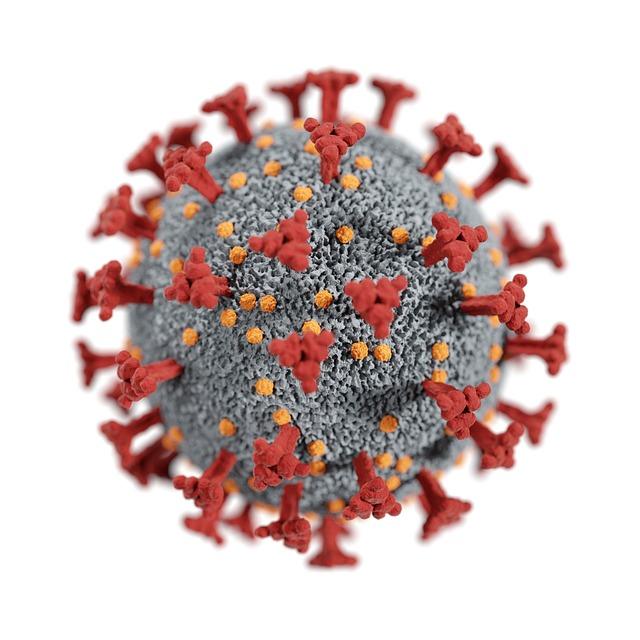 Covid-19-like bat virus discovered in Wuhan lab, poses risk of animal-to-human transmission – Hindustan Times