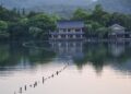 Abbott RMDx Hangzhou China Receives Shingo Prize for Organizational Excellence – usu.edu