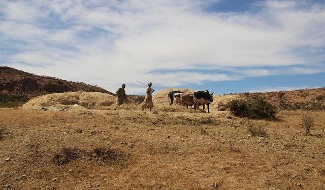 Ethiopia, Eritrea promise to avoid war but offer no peace guarantee – The East African