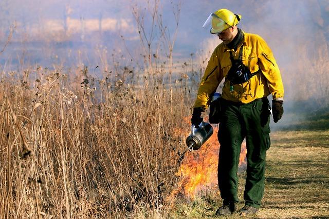 Impact of Wildfire on brasilia's Ecosystem